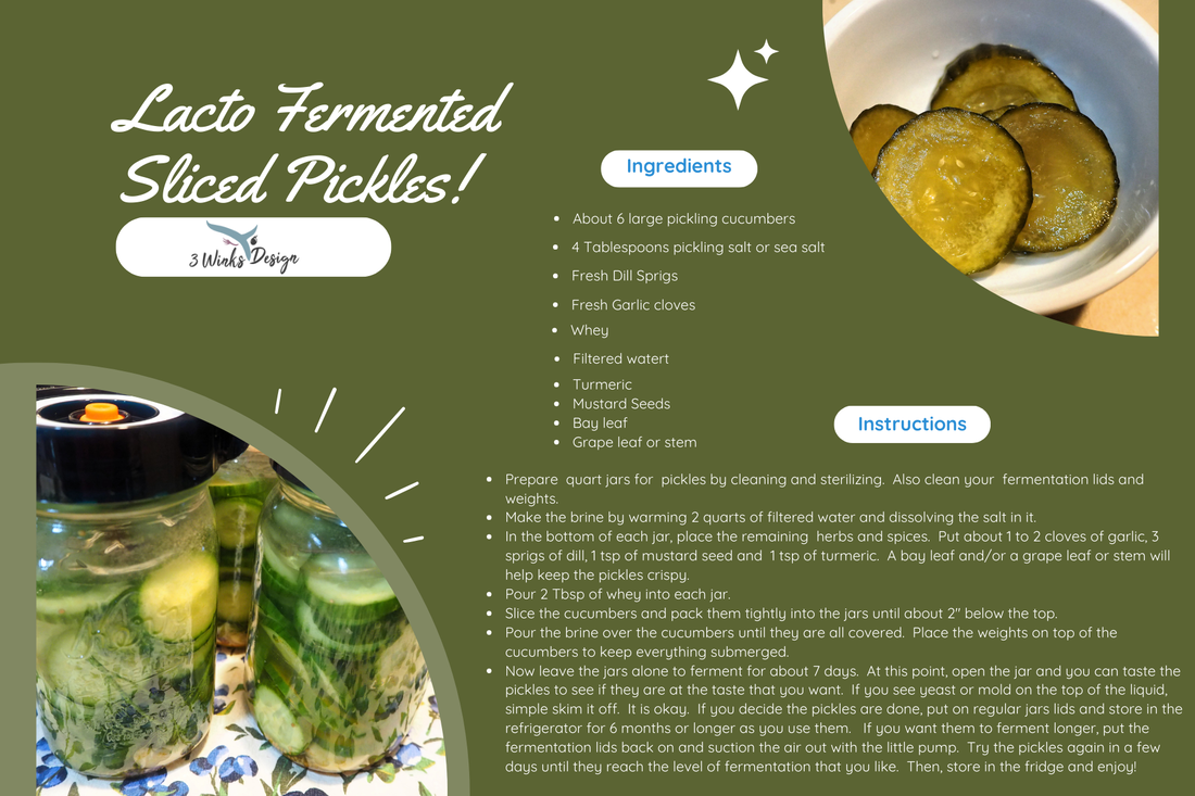 lacto fermented pickles