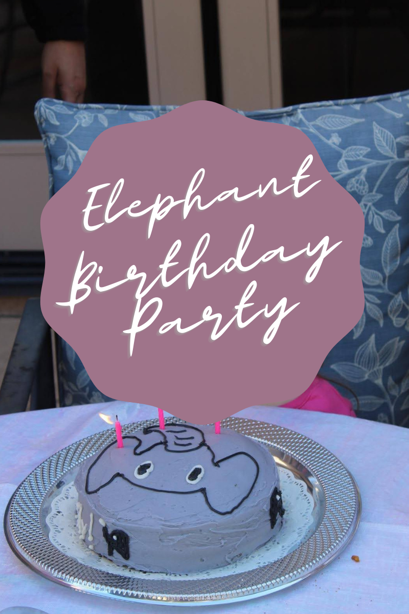 Elephant Birthday Cake