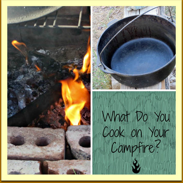 Friday Faves #27-Campfire Cooking - 3 Winks Design