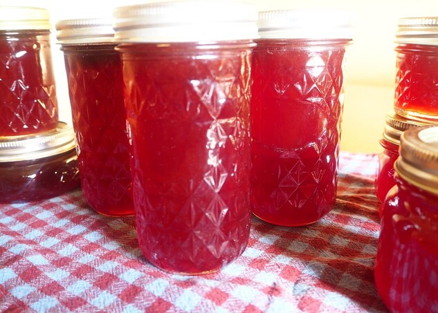 pomegranate jelly